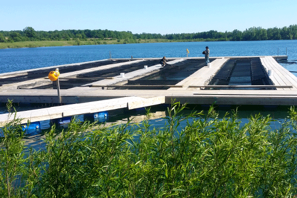 In-Pond-Raceway Modell Ontario in amerikanischen nachhaltigen Teichwirtschaften
